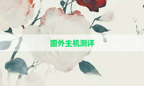 国外主机测评